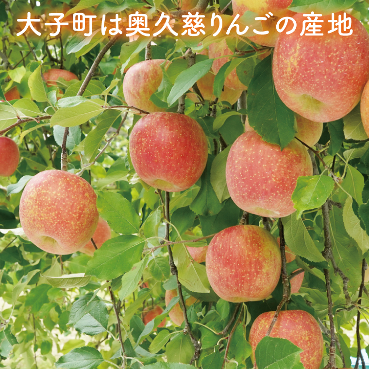 【数量限定/先行予約】樹上完熟の奥久慈りんご「サンふじ」約10kg（24～46玉）【2025年11月上旬頃より順次発送予定】斉藤りんご園第2直売所｜茨城県 大子町 林檎 果物 フルーツ 旬（CG009-1）