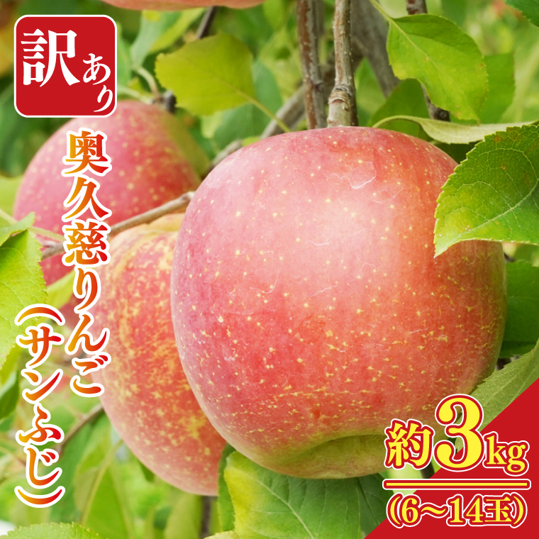 y錧qzy󂠂z㊮n̉v񂲁uTӂv3kgi6`14ʁjs KiO  Fނ ƒpbē񂲉2 錧 q ь ʕ t[c {iCG010-1j