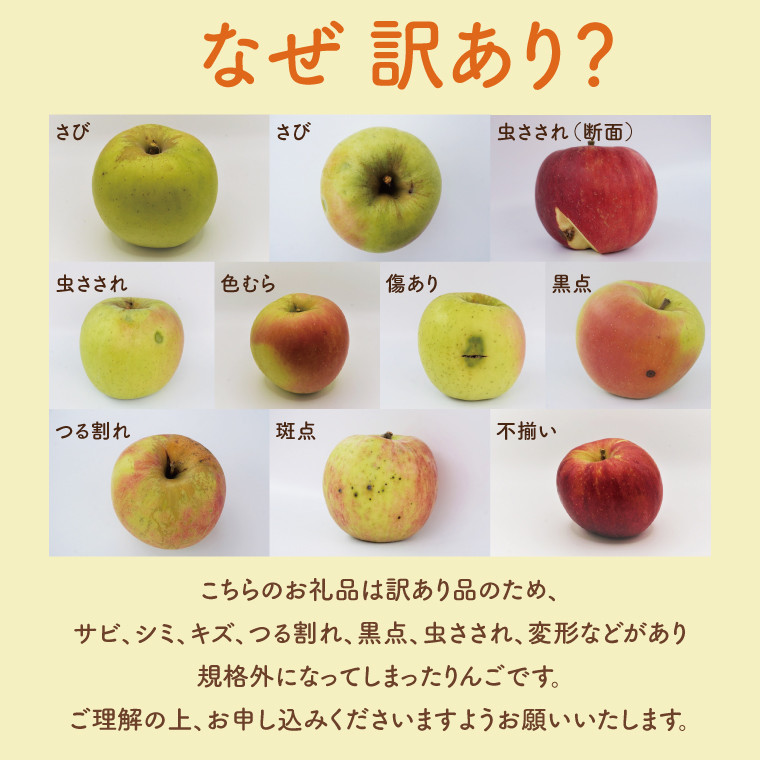 【訳あり】樹上完熟の奥久慈りんご「サンふじ」約3kg（6～14玉）不揃い 規格外 傷あり 色むら 家庭用｜斉藤りんご園第2直売所 茨城県 大子町 林檎 果物 フルーツ 旬（CG010-1）
