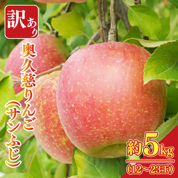 【訳あり】樹上完熟の奥久慈りんご「サンふじ」約5kg（12～23玉）不揃い 規格外 傷あり 色むら 家庭用｜斉藤りんご園第2直売所 茨城県 大子町 林檎 果物 フルーツ 旬（CG011-1）