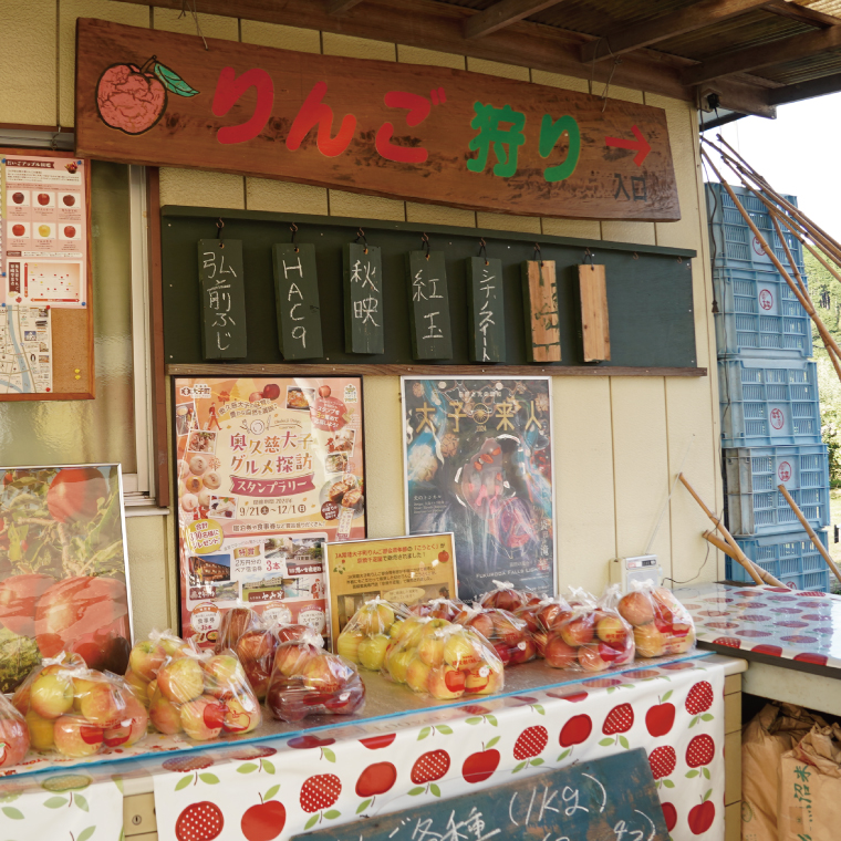 【訳あり】樹上完熟の奥久慈りんご「サンふじ」約5kg（12～23玉）不揃い 規格外 傷あり 色むら 家庭用｜斉藤りんご園第2直売所 茨城県 大子町 林檎 果物 フルーツ 旬（CG011-1）