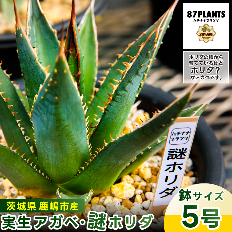 y錧szsY AKx z_yAKx z_ A  錧 s ziKCP-37j