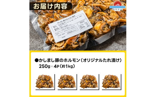 かしまし豚ホルモン炭火焼き オリジナルたれ漬 約１kg（250g×４パック）（KDQ-8）