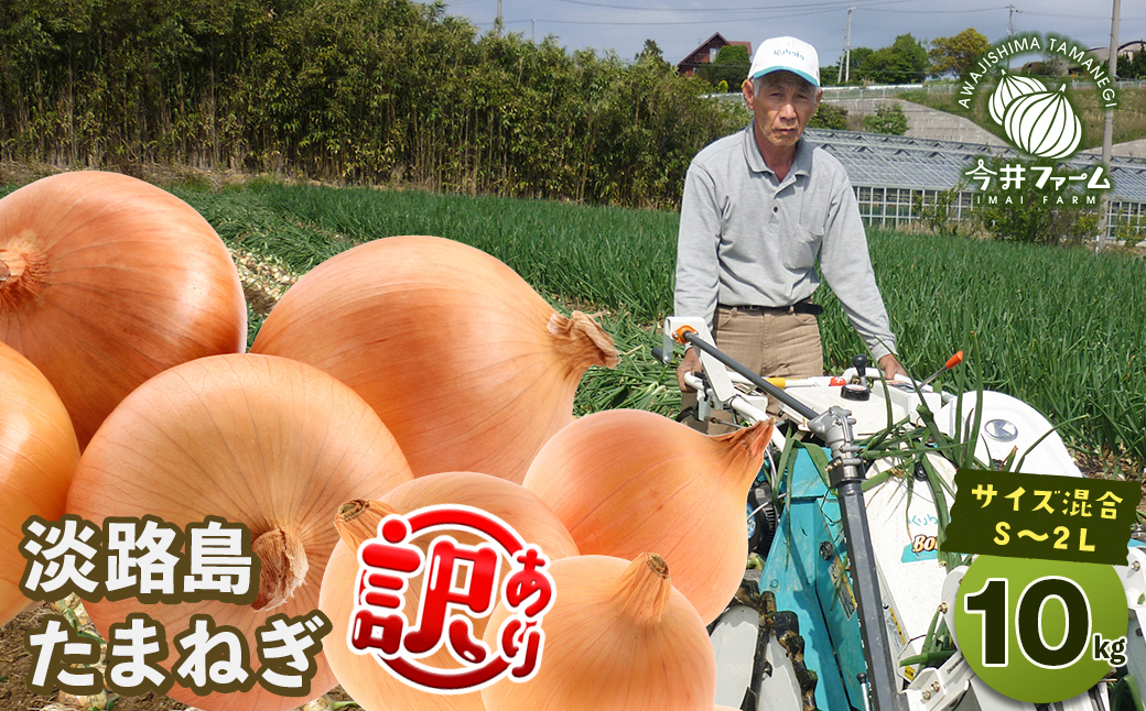 【訳あり】今井ファームの淡路島たまねぎ 10kg【サイズ混合S～2L】　　[玉ねぎ 玉ねぎ 玉ねぎ 玉ねぎ 玉ねぎ]
