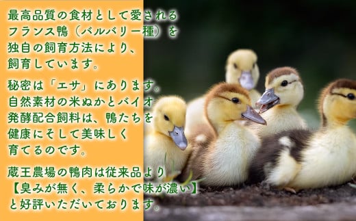 宮城県蔵王町のふるさと納税 【先行予約】蔵王鴨 仙台せり鍋セット2～3人前（2025年10月発送開始予定）　【04301-0121】 鍋 せり鍋 鍋セット せり 鴨 簡単 本場 お取り寄せグルメ 蔵王