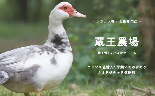 宮城県蔵王町のふるさと納税 【先行予約】蔵王鴨 仙台せり鍋セット2～3人前（2025年10月発送開始予定）　【04301-0121】 鍋 せり鍋 鍋セット せり 鴨 簡単 本場 お取り寄せグルメ 蔵王