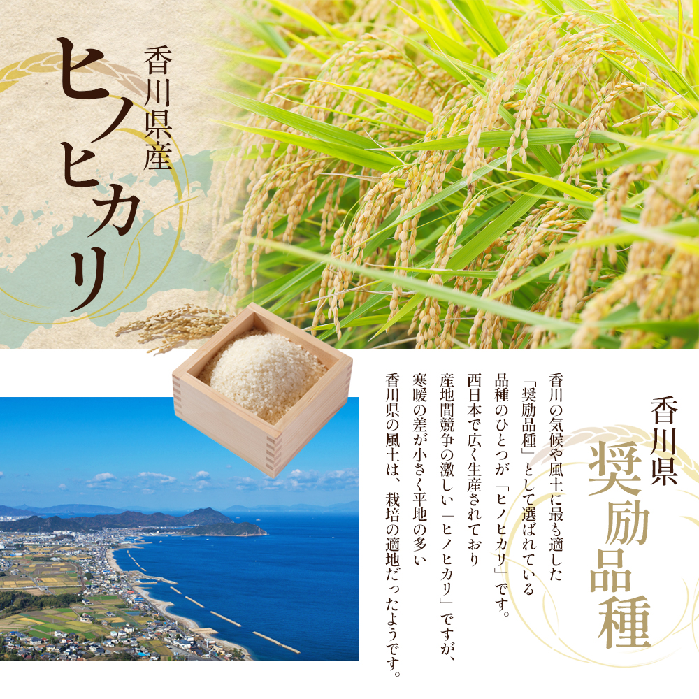 令和7年産　新米「ヒノヒカリ」10kg（玄米） お米 10kg 
