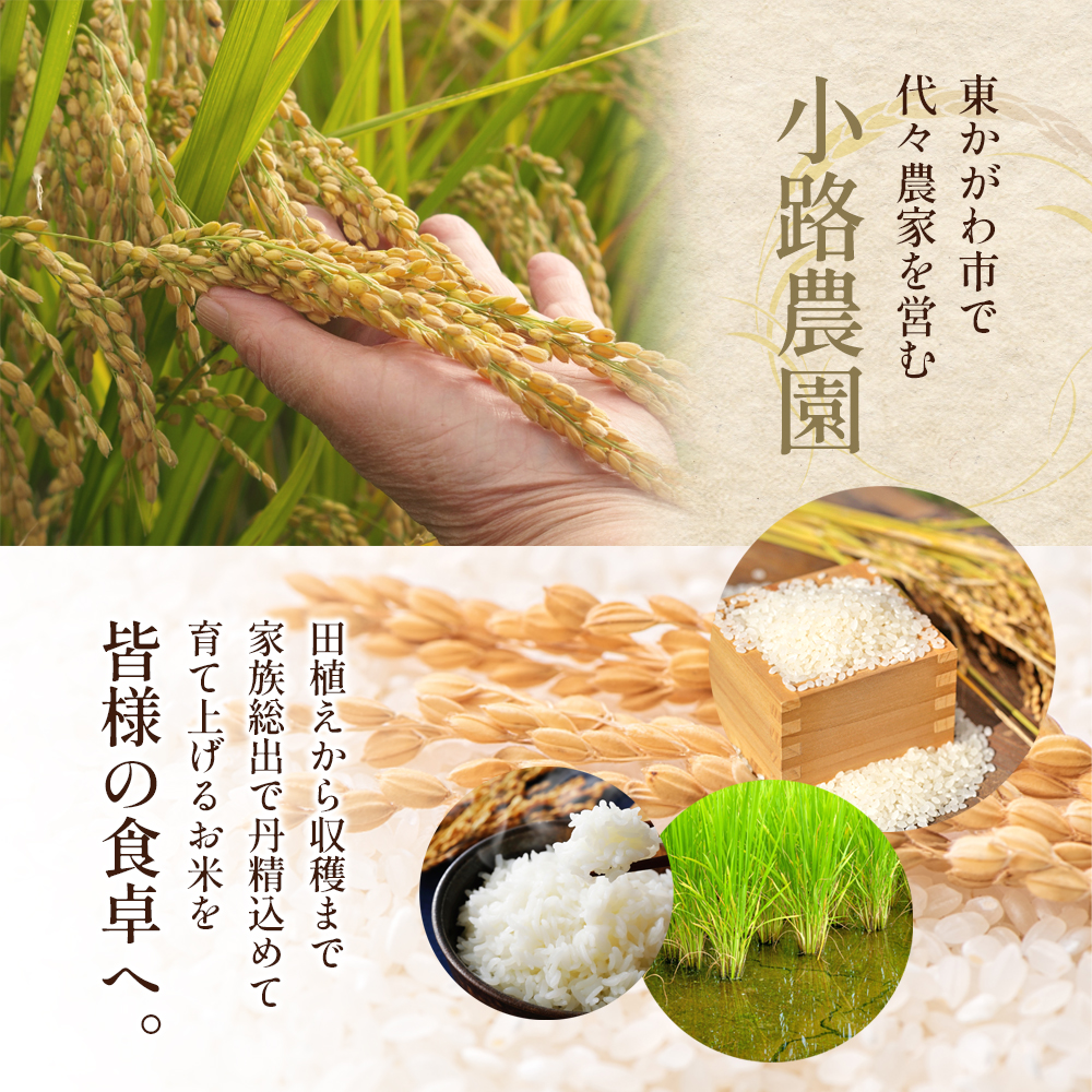 令和7年産　新米「ヒノヒカリ」10kg（玄米） お米 10kg 