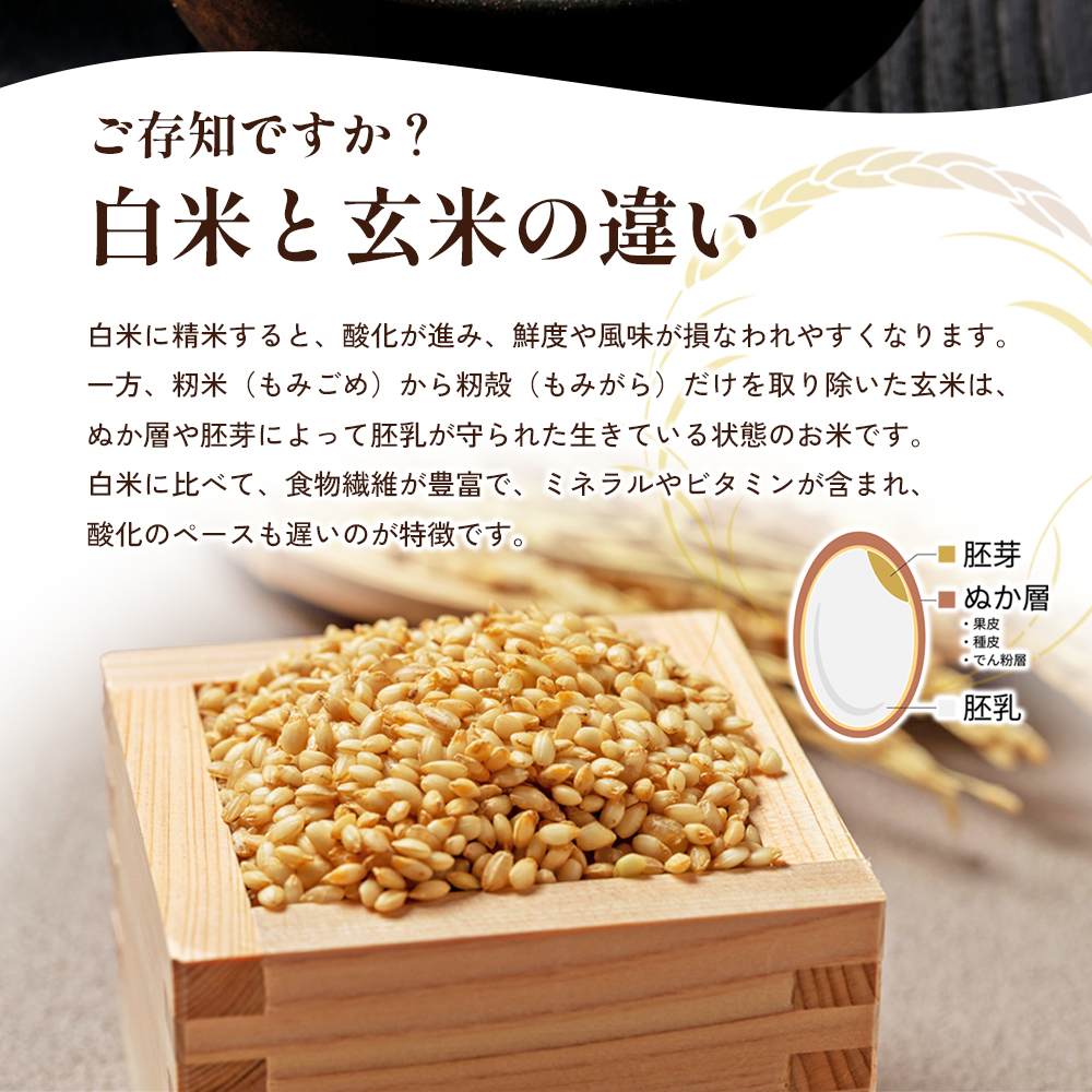 令和7年産　新米「ヒノヒカリ」10kg（玄米） お米 10kg 
