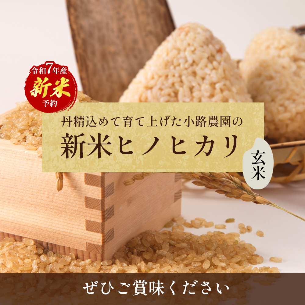 令和7年産　新米「ヒノヒカリ」10kg（玄米） お米 10kg 