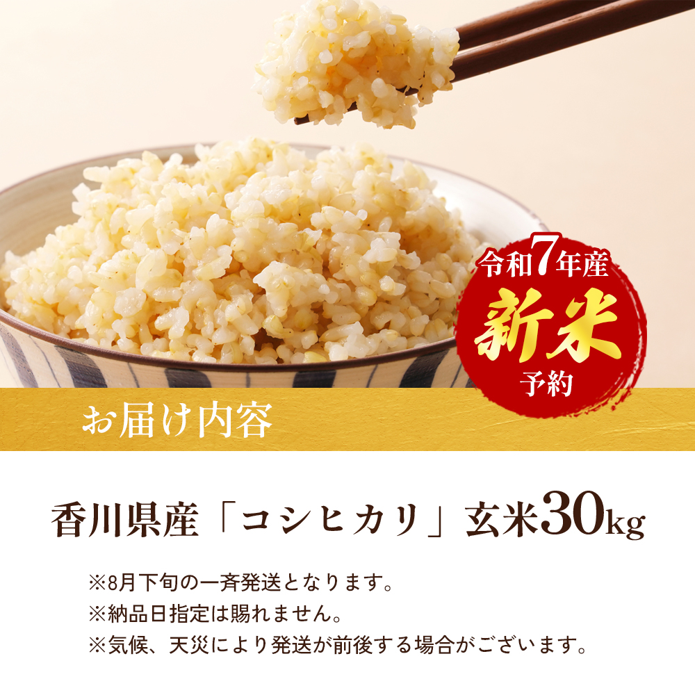 9月13日発送 値下げ29年度 滋賀のコシヒカリ玄米20kg　10kg✖2袋送込 コシヒカリ 【令和7年度米】新潟県産 精米 20kg（10kg×2袋