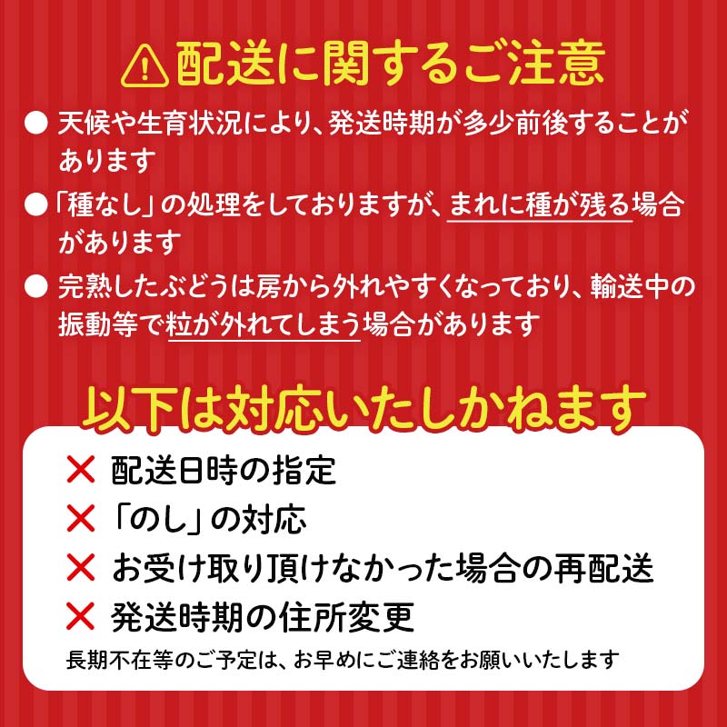 【2026年先行予約】シャインマスカット約1kg 石川県加賀市産（ご家庭用） シャインマスカット マスカット ぶどうぶどうぶどう 葡萄 デザート フルーツフルーツフルーツフルーツ 果物 くだもの 果実 食品 F6P-2629