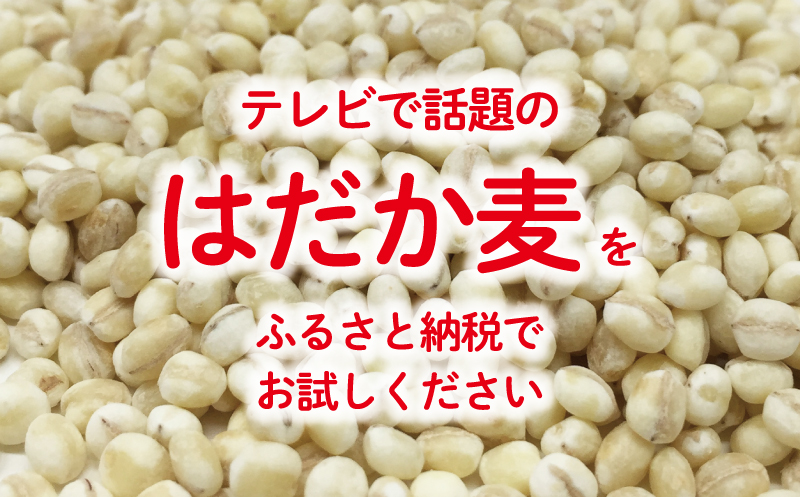はだか麦 900g 5個セット 10000円 国産 大麦 麦 麦ごはん むぎごはん 水溶性 食物繊維 腸内環境 ダイエット 健康 マルヤス味噌 愛南町 愛媛県