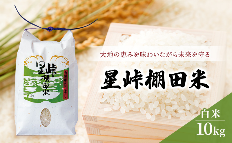 大地の恵みを味わいながら未来を守る「星峠棚田米」 10kg（白米）越後まつだい 魚沼産コシヒカリ
