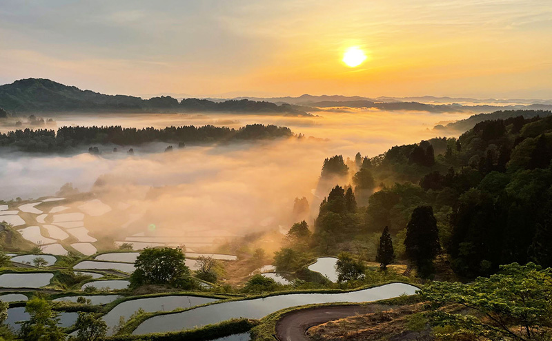 大地の恵みを味わいながら未来を守る「星峠棚田米」 2kg（白米）越後まつだい 魚沼産コシヒカリ