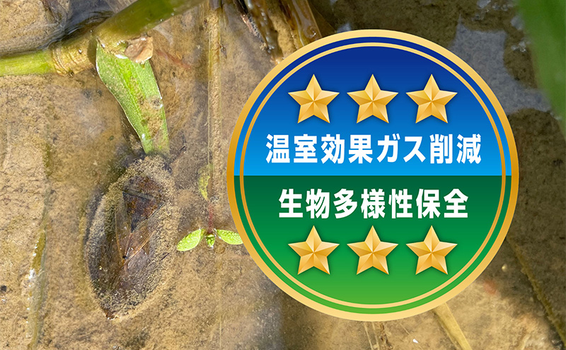 大地の恵みを味わいながら未来を守る「星峠棚田米」 2kg（白米）越後まつだい 魚沼産コシヒカリ