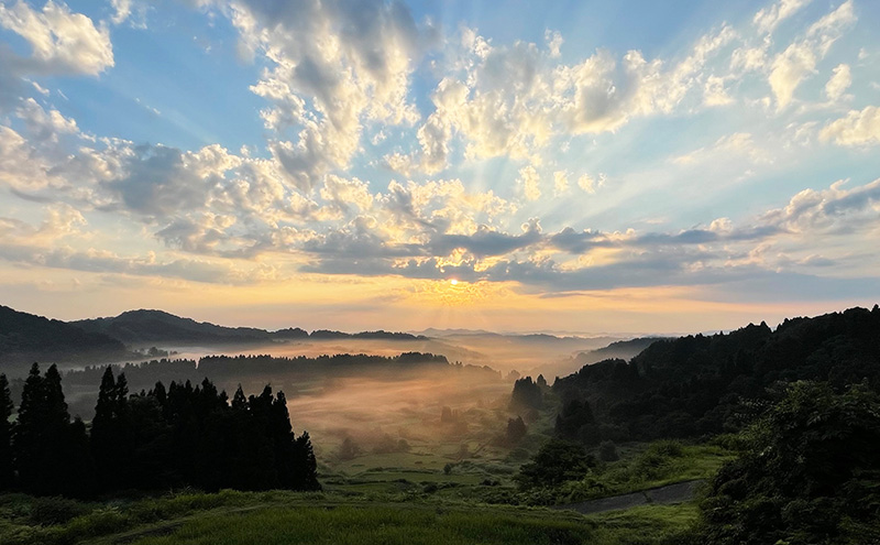 大地の恵みを味わいながら未来を守る「星峠棚田米」 2kg（白米）越後まつだい 魚沼産コシヒカリ