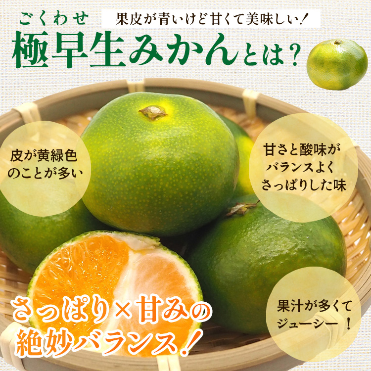 〈定期便〉【10・11・12月 全3回】家庭用 有田みかん定期便 1kg+250g（傷み補償分）※北海道・沖縄・離島への配送不可