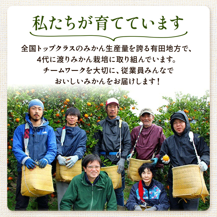 〈定期便〉【10・11・12月 全3回】家庭用 有田みかん定期便 5kg+250g（傷み補償分）※北海道・沖縄・離島への配送不可