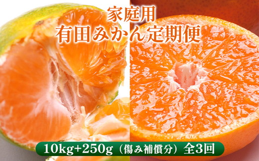 〈定期便〉【10・11・12月 全3回】家庭用 有田みかん定期便 10kg+250g（傷み補償分）※北海道・沖縄・離島への配送不可