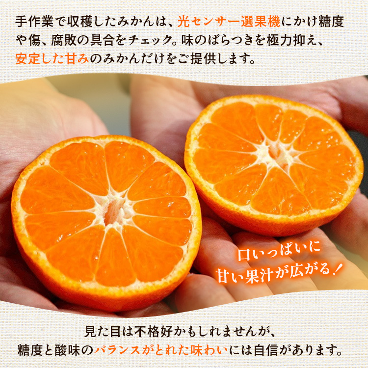 〈定期便〉【10・11・12月 全3回】家庭用 有田みかん定期便 10kg+250g（傷み補償分）※北海道・沖縄・離島への配送不可