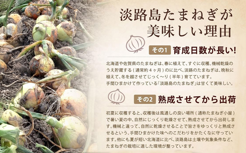 今井ファームの淡路島たまねぎ加工品福袋　《たまねぎスープ オニオンクーリムスープ 乾燥玉ねぎ ビーフカレー だしパック》