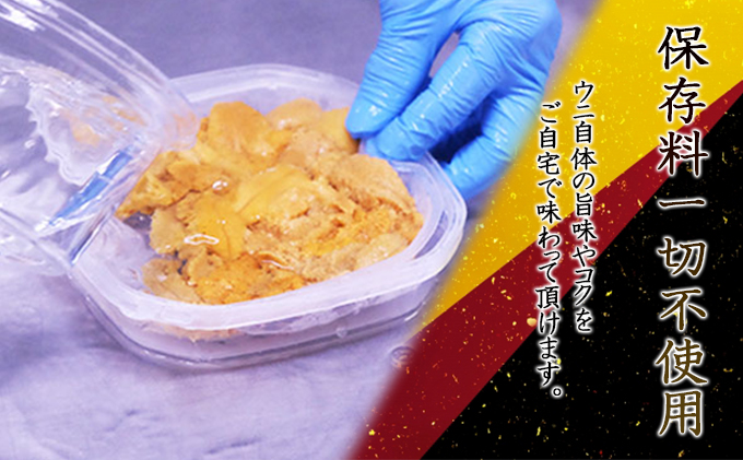 北海道 無添加塩水 ウニ 100g 2パック 1月下旬頃～3月中旬頃まで順次出荷 バフン ムラサキ うに 雲丹 海鮮 小川商店 