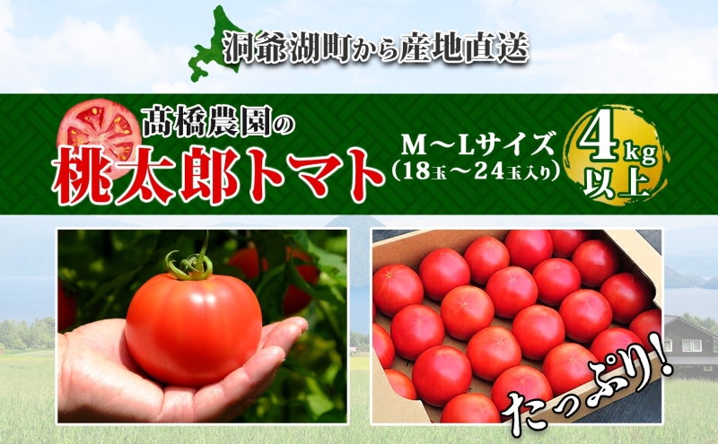 北海道 高橋農園 桃太郎トマト 4kg以上 M~Lサイズ (18玉~24玉 北海道 高橋農園 桃太郎トマト 4kg以上 M~Lサイズ (18玉~24玉
