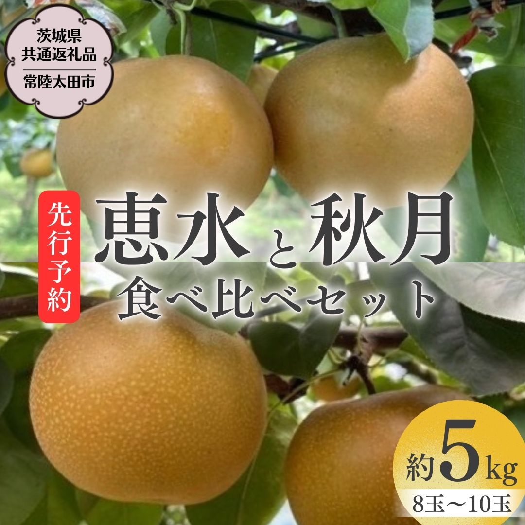 ７月下旬収穫5kg+α【茨城県つくば市産】冷凍ブルーベリー 7月下旬収穫【茨城県つくば市産】冷凍ブルーベリー5kg+α （冷凍