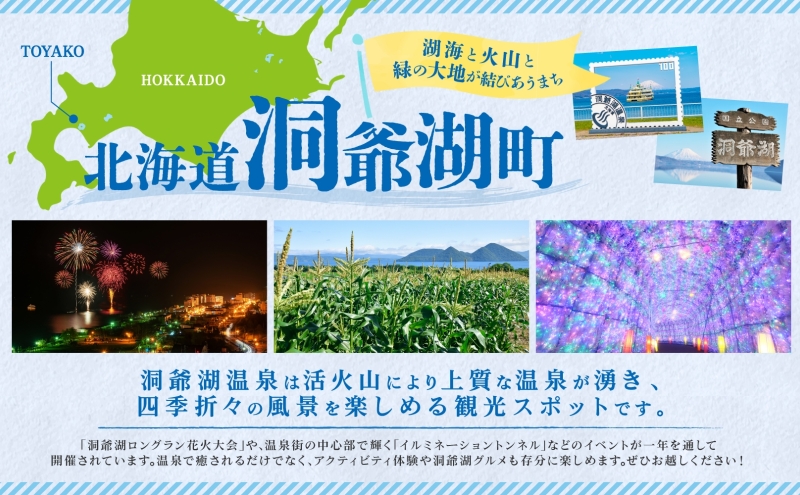 北海道洞爺湖町のふるさと納税 北海道産 長いも 春夏出荷 約10kg 2025年5月上旬～7月下旬お届け 長芋 ながいも とろろ 農作物 野菜 新鮮 根菜  山かけ 産地直送 お取り寄せ 送料無料 冷蔵 北海道 洞爺湖町