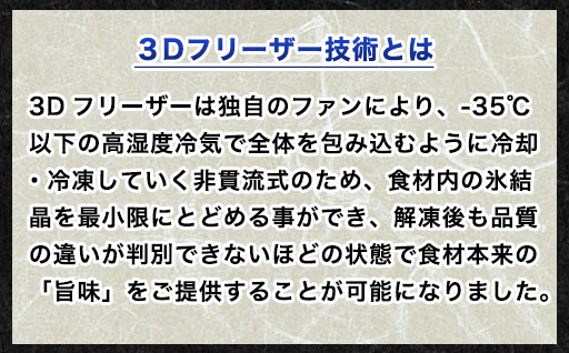 山口県萩市のふるさと納税 自宅で透明感を再現！須佐男命いかの姿造り（刺身）特殊冷却「3D冷凍」パック 2個セット　｜HG000428