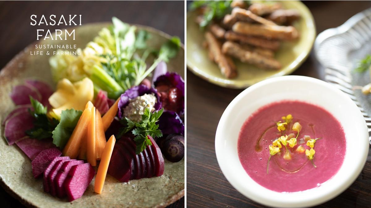 旬の野菜詰め合わせ ～ありがとうBOX2025・中～ 12月1日～1月31日頃お届け 北海道 野菜 やさい 詰め合わせ セット 北海道産 常備菜 加工品 自然栽培 佐々木ファーム 産地直送 洞爺湖町