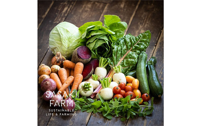 [5回お届け 5月・7月・9月・11月・3月 定期便]〈自然栽培〉佐々木ファーム 旬の野菜詰め合わせ ～循環セット～ 厳選野菜7-10品目程度 先行予約 直送 北海道 洞爺湖町