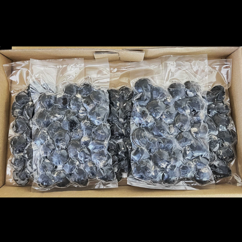 12-211 【年内配送12月8日入金まで】紋別産しじみ1kg within2025