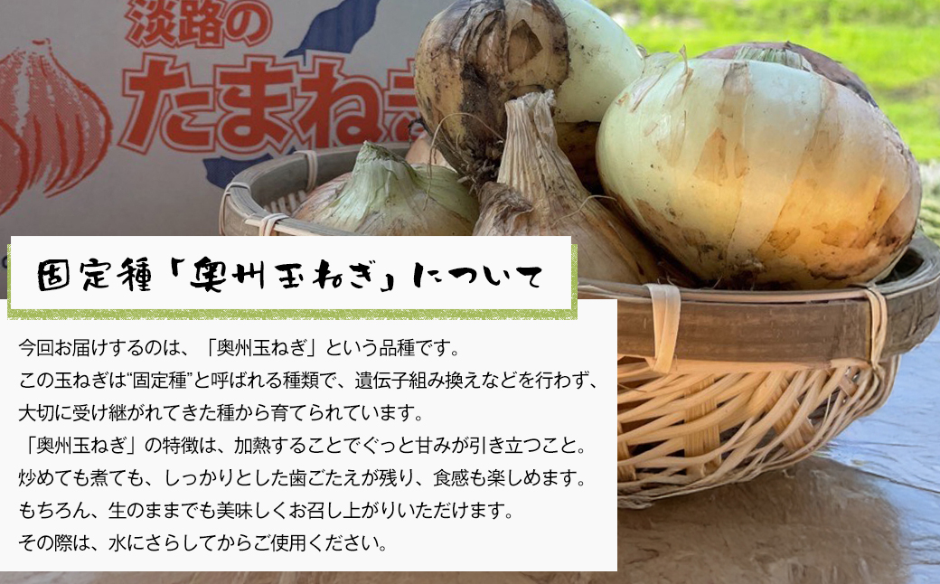 自然栽培玉ねぎ 3kg 《大小様々なサイズのため訳あり》