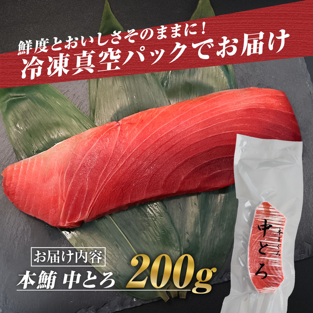 本鮪 中トロ200g トロ マグロ まぐろ 本まぐろ 刺身 刺し身 魚 海鮮 冷凍 美味しい おいしい 故郷納税 ふるさとのうぜい 返礼品 高知県 高知
