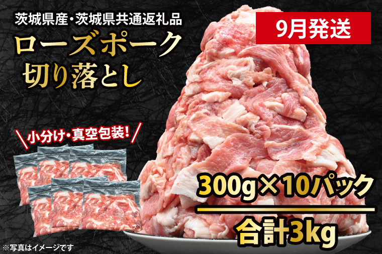 国産豚肉 こま切れ 300g×10p (3kg) 【2025年9月発送予定】【 小分け ・ 真空パック 】 ( 茨城県共通返礼品・茨城県産 ) ブランド豚 ローズポーク 茨城 国産 切り落とし 豚 豚肉 豚こま 豚こま切れ 冷凍