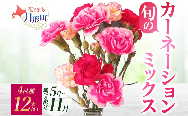 [選べる配送月] 北海道 カーネーション ミックス 4品種 12本以上 切り花 切花 花束 ブーケ 季節 旬 生花 フラワー アレンジメント 記念日 産地直送 つきがたふるさと花の会