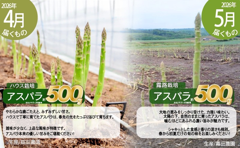 【2026年発送】全5回 富良野 専門農家が選ぶ 旬の贅沢 定期便 北海道 富良野市 老節布 野菜 アスパラ ハウス 露地 ミニトマト とうもろこし スイートコーン 玉ねぎ たまねぎ 玉葱 甘い