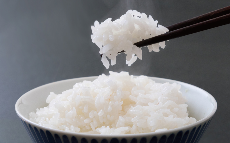 先行予約 新米 令和7年産 コシヒカリ 10kg 24000円 お米 白米 精米 米 こめ 産地直送 国産 農家直送 期間限定 数量限定 特産品 先行 事前 受付 令和7年度産 2025年産 もっちり 粘り 甘み おいしい おにぎり こしひかり 内祝い お祝い 贈答品 お返し プレゼント ギフト 土産 御礼 お礼 お取り寄せ 田中均 愛南町 愛媛県