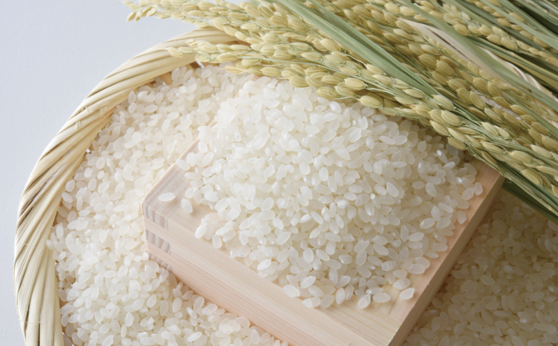 先行予約 新米 令和7年産 コシヒカリ 10kg 24000円 お米 白米 精米 米 こめ 産地直送 国産 農家直送 期間限定 数量限定 特産品 先行 事前 受付 令和7年度産 2025年産 もっちり 粘り 甘み おいしい おにぎり こしひかり 内祝い お祝い 贈答品 お返し プレゼント ギフト 土産 御礼 お礼 お取り寄せ 田中均 愛南町 愛媛県