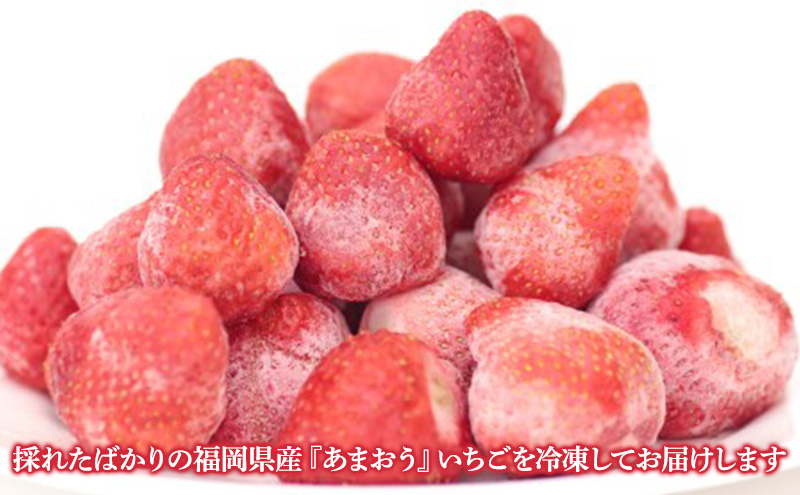 冷凍 あまおう 約1.5kg いちご ※配送不可：北海道・沖縄・離島