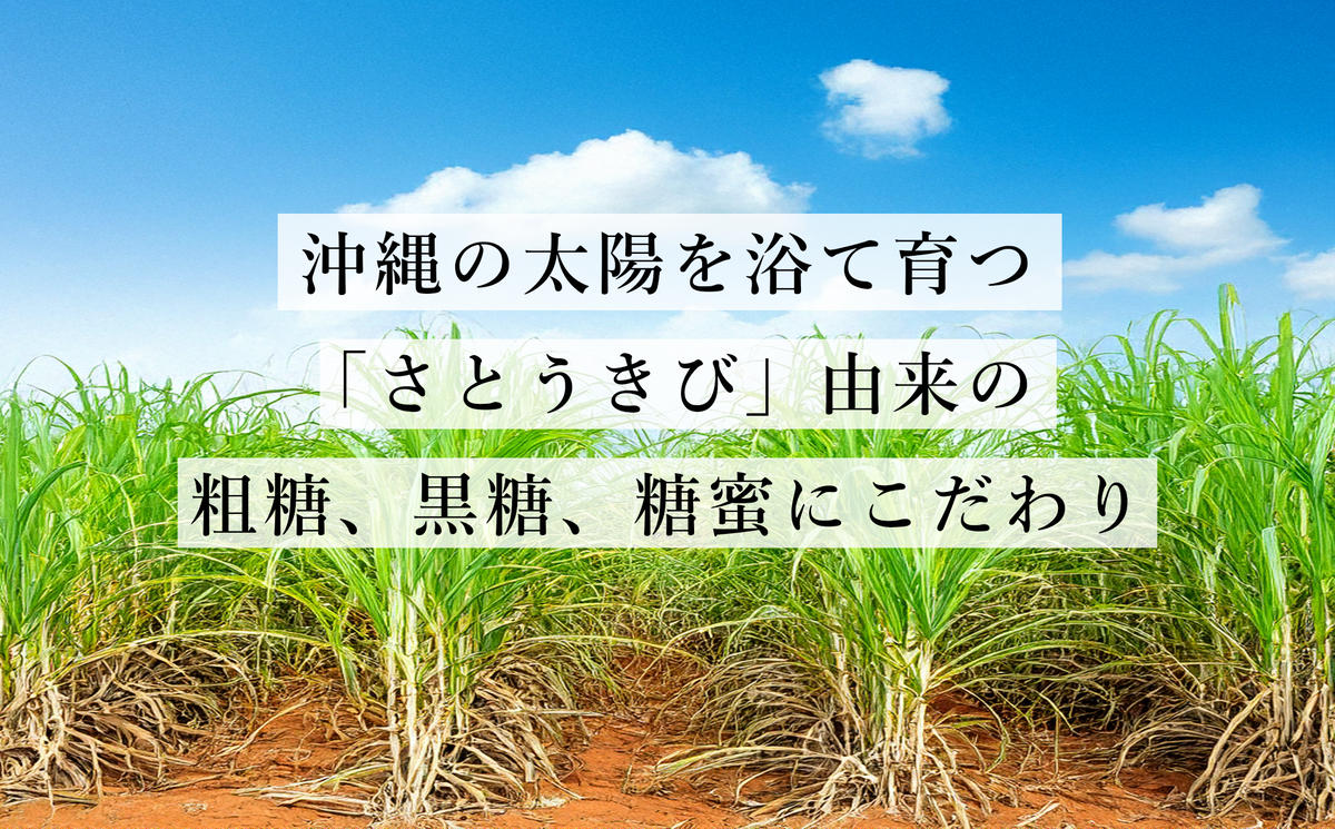 ぬちまーす塩黒蜜(180ml)×3袋