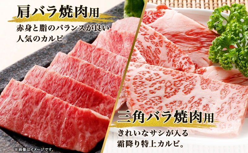 北海道 とうや湖和牛 焼き肉 肩バラ 三角バラ すき焼き 肩 ロース モモ 黒毛和牛 霜降り カルビ もも 和牛 A4ランク 幻の和牛 ブランド牛 牛肉 焼肉 とうや湖農業協同組合 送料無料 