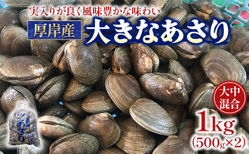 ykCݒzkC ݎY  500g×2pbN (v1kg) 咆 AT L C  h{ | o  ① Ⓚۑ\ ֗