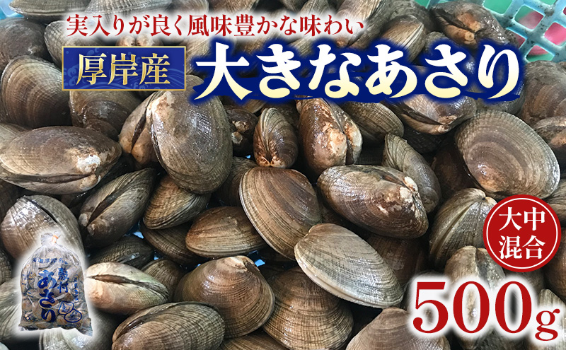 ykCݒzkC ݎY  500g×1pbN (v500g) 咆 AT L C  h{ | o  ① Ⓚۑ\ ֗