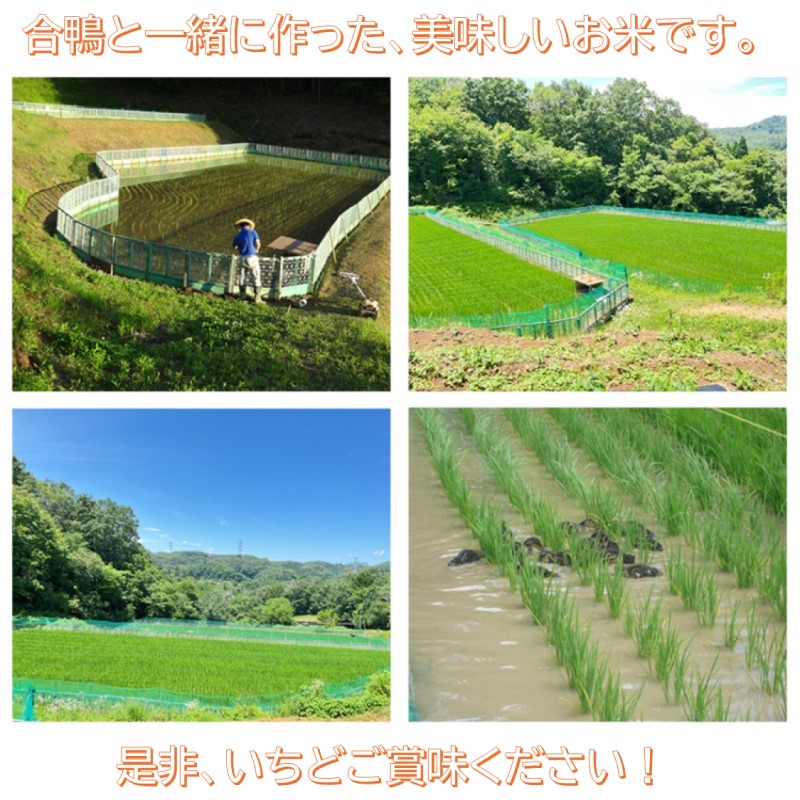 おかやま有機無農薬栽培認証 合鴨米 コシヒカリ5kg 有機栽培