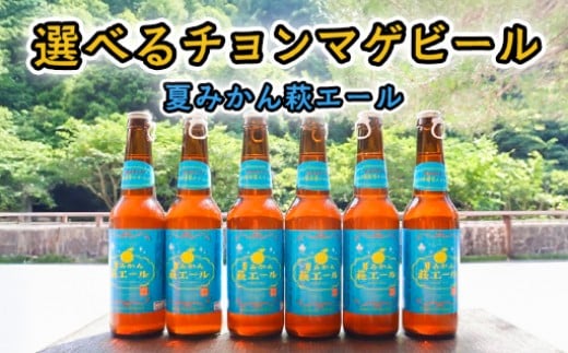 [選べる!]城下町・萩の地ビール/夏みかん萩エール |HGH00005