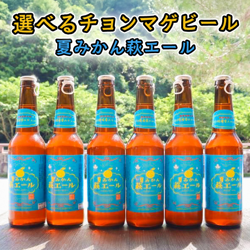 [選べる!]城下町・萩の地ビール/夏みかん萩エール |HGH00005