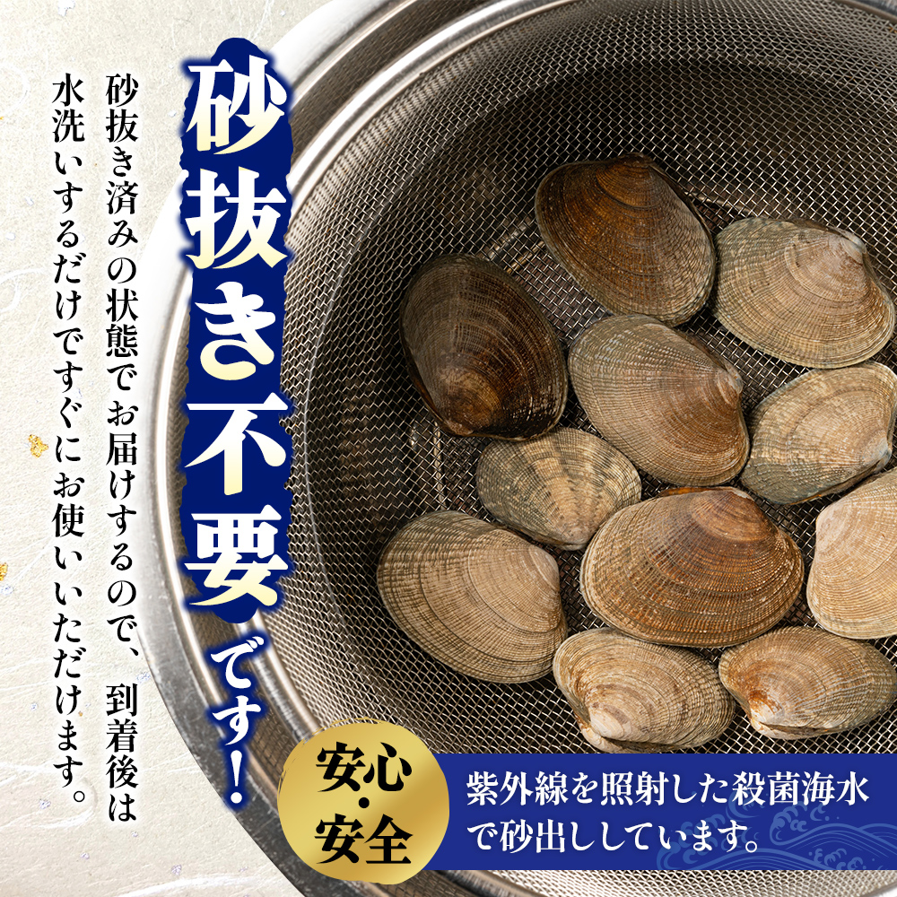 北海道 厚岸産 あさり 500g×2パック (合計1kg) 大中混合 アサリ 魚貝 海 美味しい 栄養 旨み 砂出し 水洗い 冷蔵 冷凍保存可能 便利
